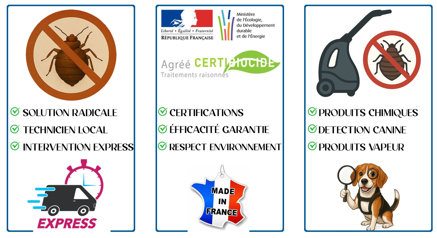 Punaises de Lit Thiais