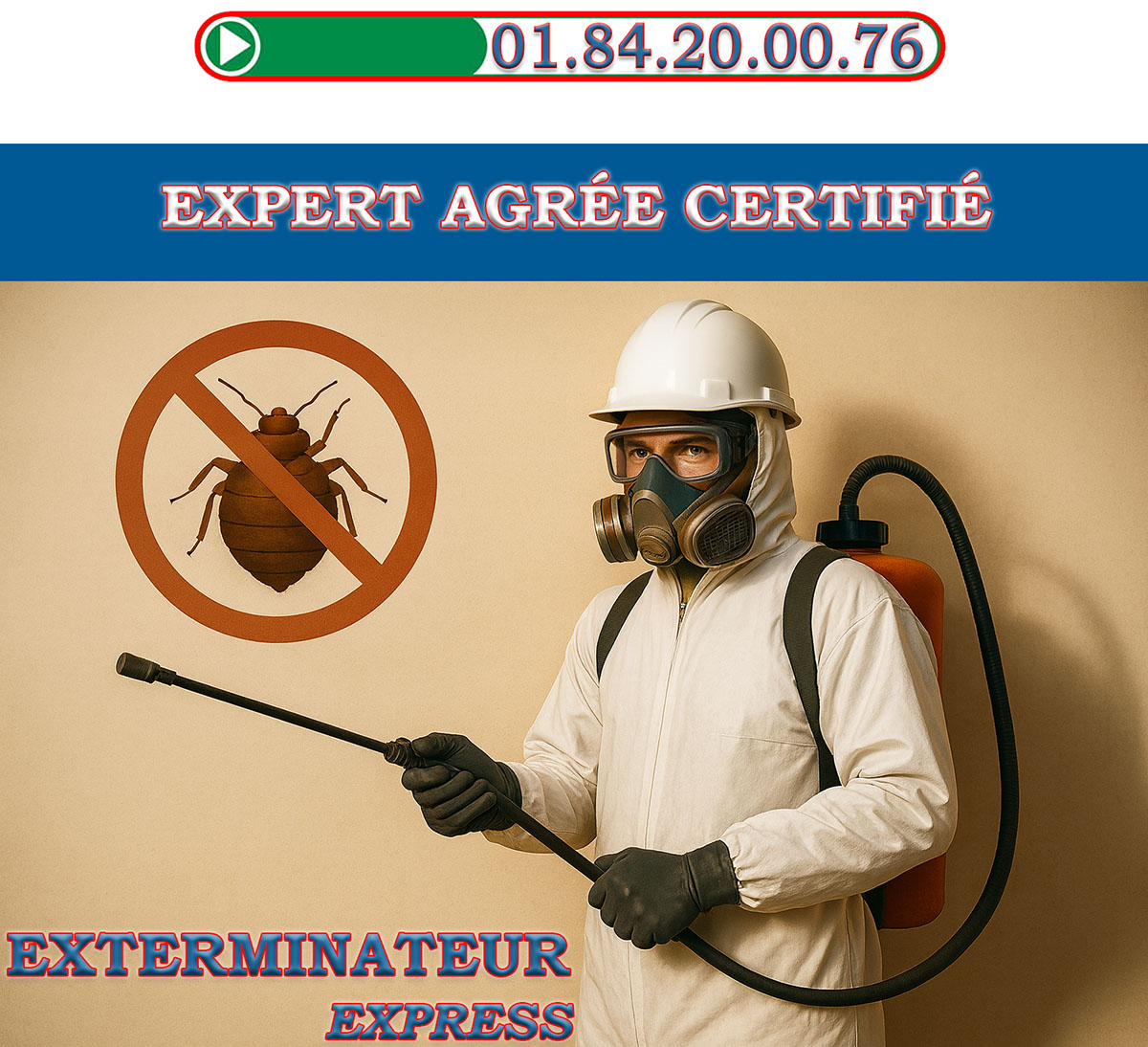 Punaises de Lit Thiais